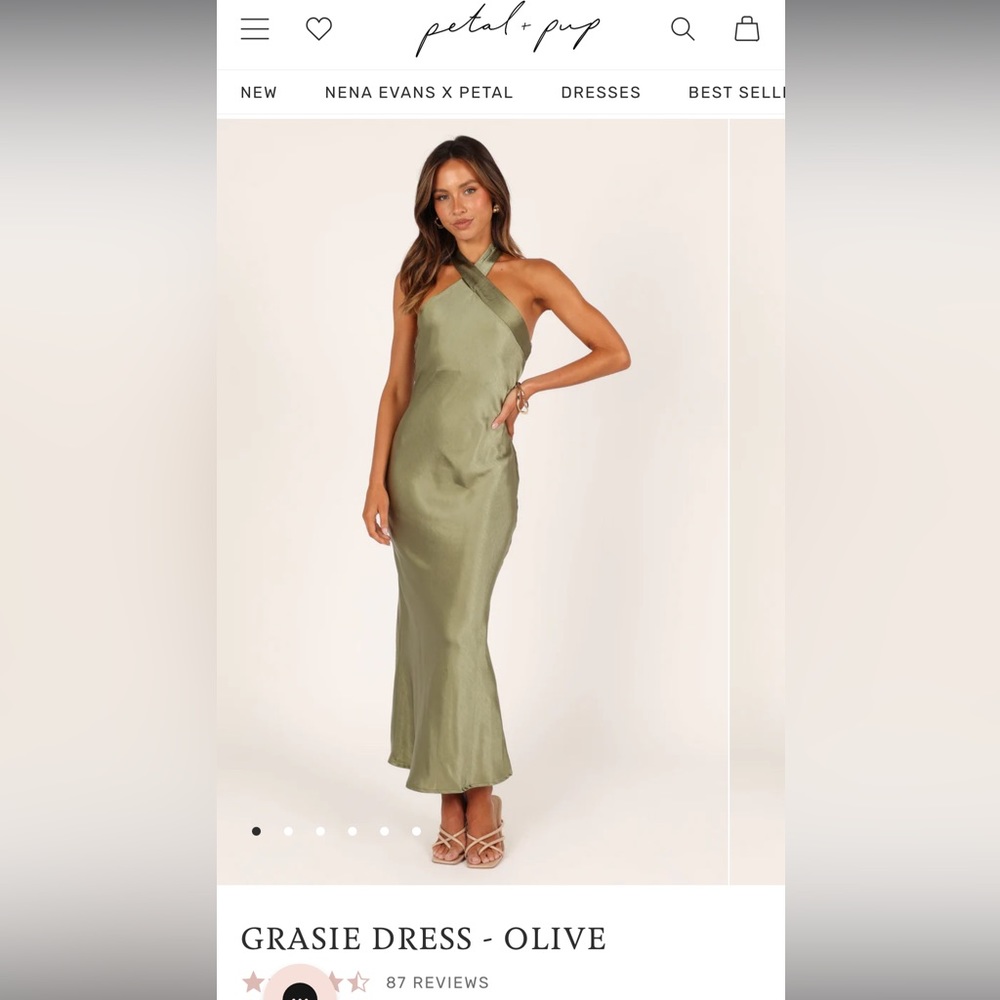 NWT - Petal and Pup Grasie dress